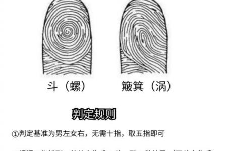 掐指一算，手指算命感情