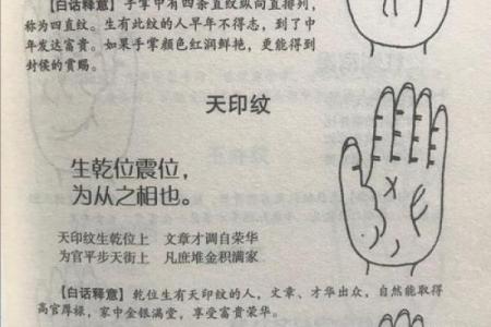 六害眉面相算命图解
