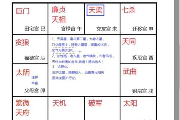 紫微斗数诸星落诸宫之：太阳星官禄宫详解