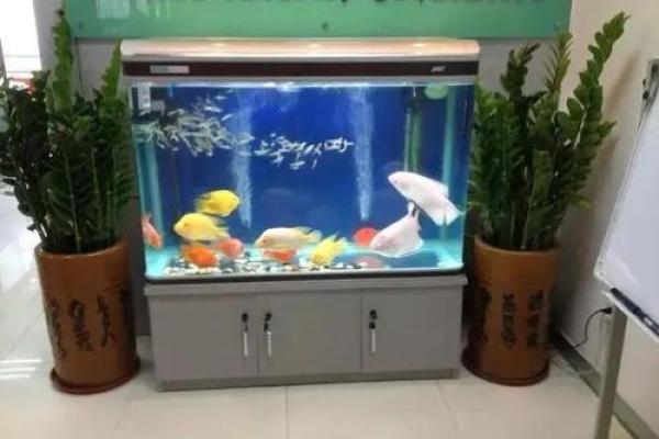 摆鱼缸的风水禁忌