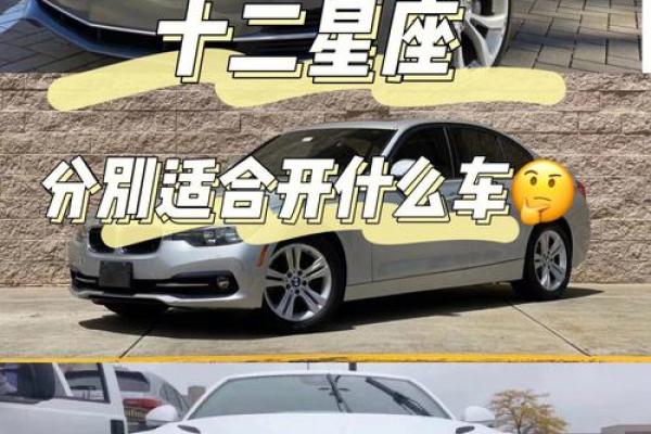十二星座最适合的车排名图片