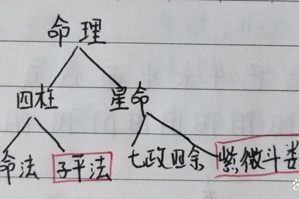 命理学：八字九宫定位法，算命术中的精髓之法！_1