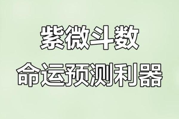 算个紫微斗数 算紫微斗数用什么ai？