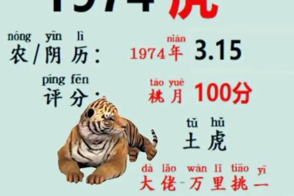播放算命指什