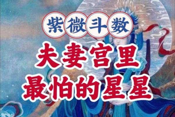婚前很多女朋友紫微斗数 大家婚前有过几个男朋友？
