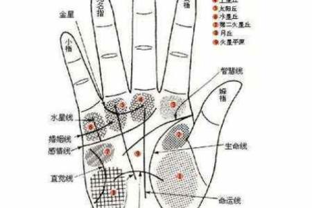手相风水：命运线中间断开象征什么意义