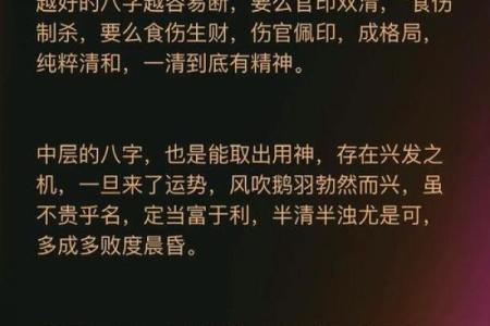 播放算命指什