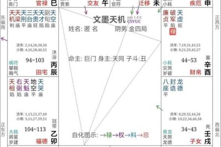 紫薇斗数养母养大