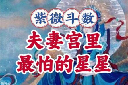 婚前很多女朋友紫微斗数 大家婚前有过几个男朋友？