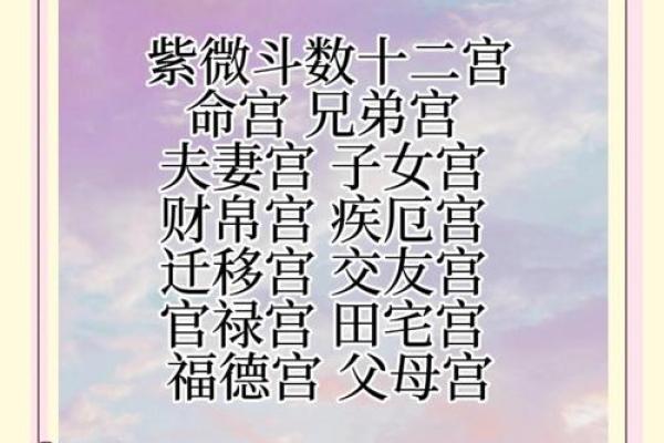 紫薇斗数占卜详解