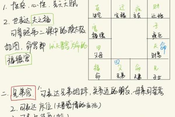 紫薇斗数最主要看什么