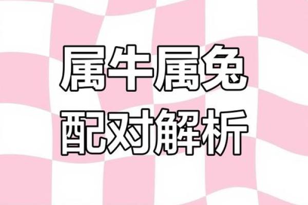 合婚姻属兔和属鸡的八字配不配 能做夫妻吗