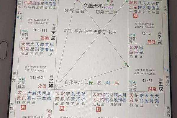 紫微斗数之迁移宫与诸星，太阴星在迁移宫是什么意思？