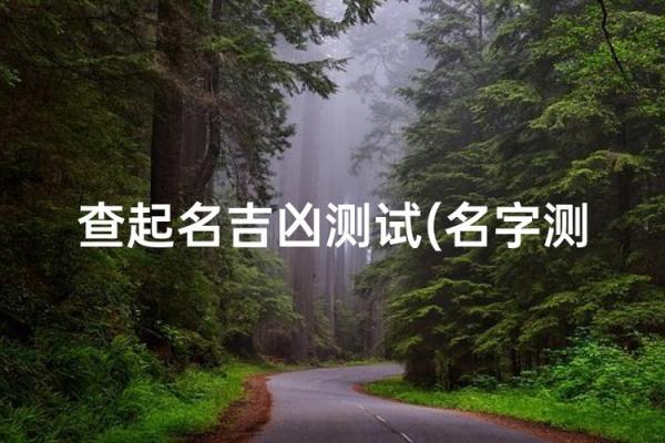 姓名测分免费测试周易