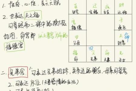 紫薇斗数最主要看什么
