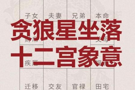 紫微斗数之疾厄宫与诸星，贪狼星在疾病宫是什么意思？