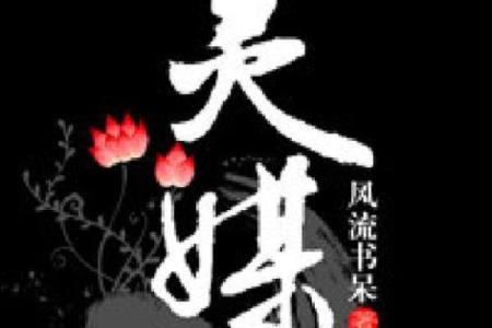 紫薇斗数灵媒