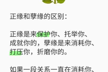 缘分缘分缘分测试爱情 缘分免费测试？