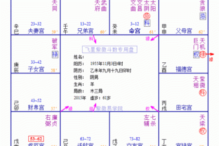 紫薇斗数紫薇贪狼在酉