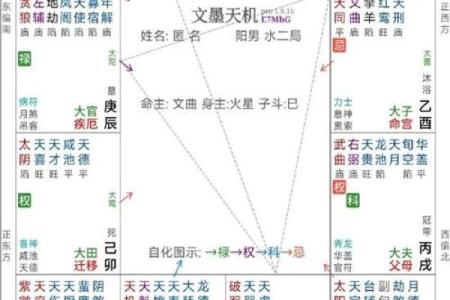 紫微斗数之交友宫与诸星，太阴星在交友宫是什么意思？