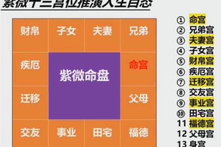 紫微斗数人事十二宫的基本意义
