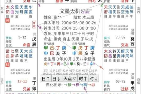 紫微斗数案例25健康：抑郁的命盘啥样？你在什么时间渡劫？