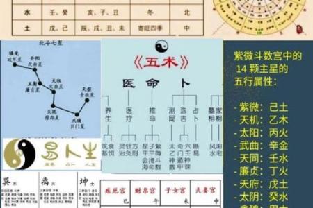 壹年山人紫薇斗数
