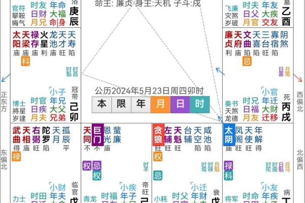 紫薇斗数流年怀孕