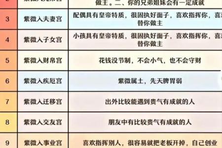 紫薇斗数看流年事业运势