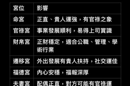 暗曜紫薇斗数