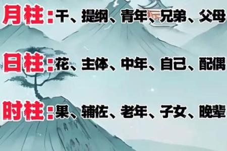 1977八字