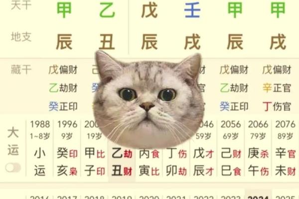 八字全阳的男人是什么转世_全阳八字怎么解破 八字全阳的男人是什么转世_全阳八字怎么解破