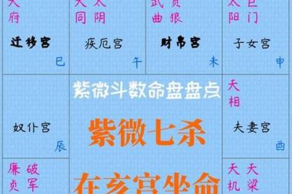 紫薇斗数七杀星