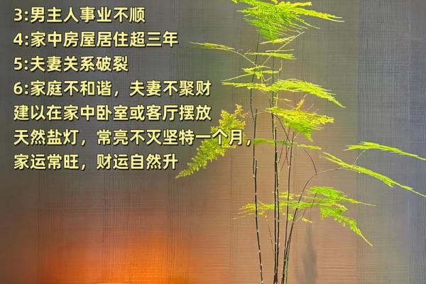 家中风水_家里房间放粗盐什么意思