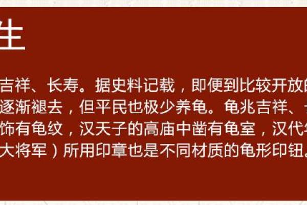 办公室养龟有什么风水说法讲究