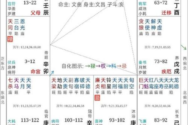 紫微斗数陀罗在命宫的重要性及解读