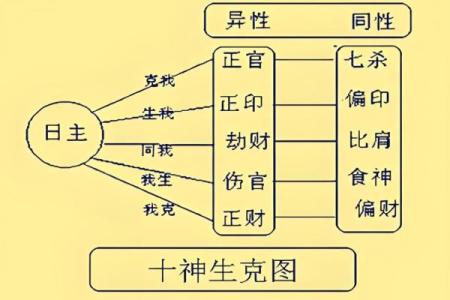 该怎样学批八字（5）十神是什么？