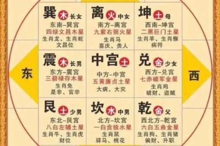 紫薇斗数看一生命运