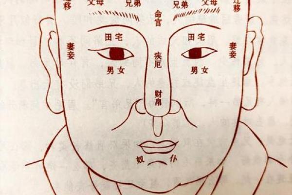 面相算命图解十二宫之：田宅宫