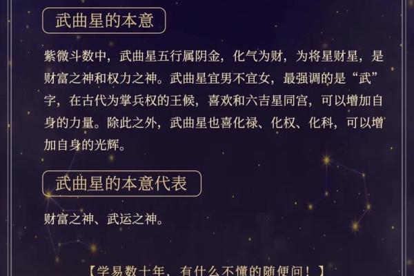 东有小山紫微斗数第8课：北斗星系②（太阳、武曲、天同、廉贞）