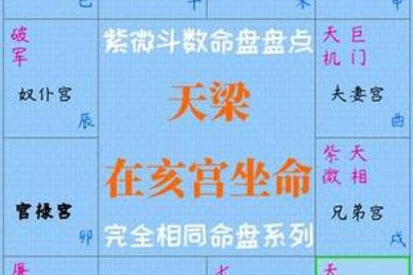 紫薇斗数农历木三局表格图