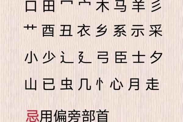 八字免费起名,取名网生辰八字免费周易起名