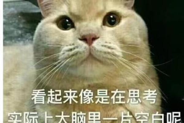 【神准测试】现在这份工作能做多久？