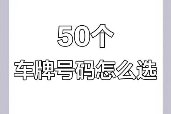 八字选车牌