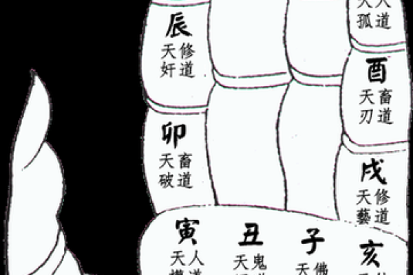 手掌印算命