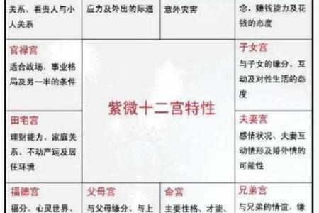 紫微斗数之阴阳五行