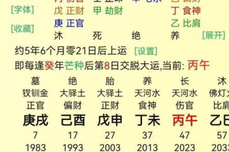 八字-论丁巳日甲辰时