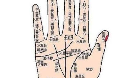 手纹算命图解 财富手纹解读