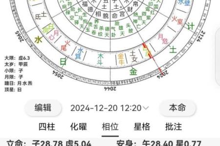 紫薇斗数解盘許
