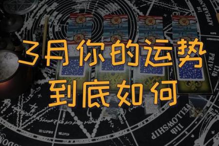 塔罗测试：你有聚财的运势吗？